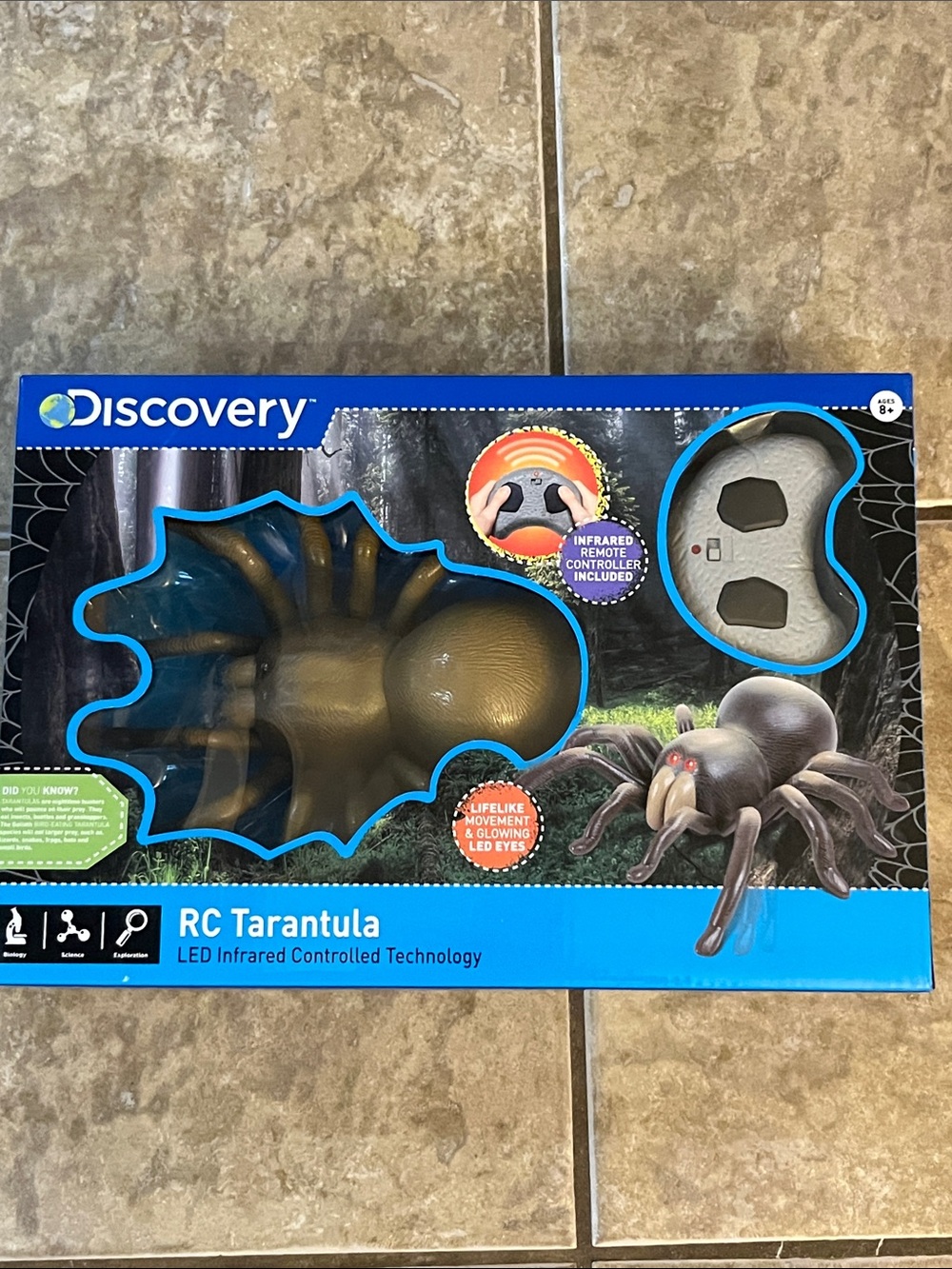 Discovery RC Tarantula Remote Control Toy - Black & Brown